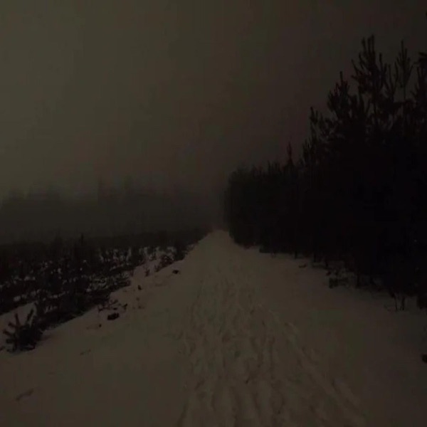 the perfect place to bleed out