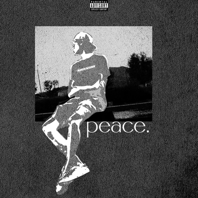 Peace (feat. Sapjer) - Single