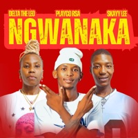 Ngwanaka (feat. Skayy Lee & Delta The Leo) - Single - Playco Rsa