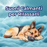 Rumore Bianco e Battito Cardiaco per Cani Ansiosi - Suoni per Rilassarli - Wombsounds & sleep-o-phant