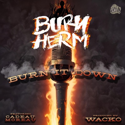 Burn It Down - Single