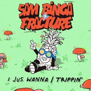 I Jus Wanna / Trippin' - Single