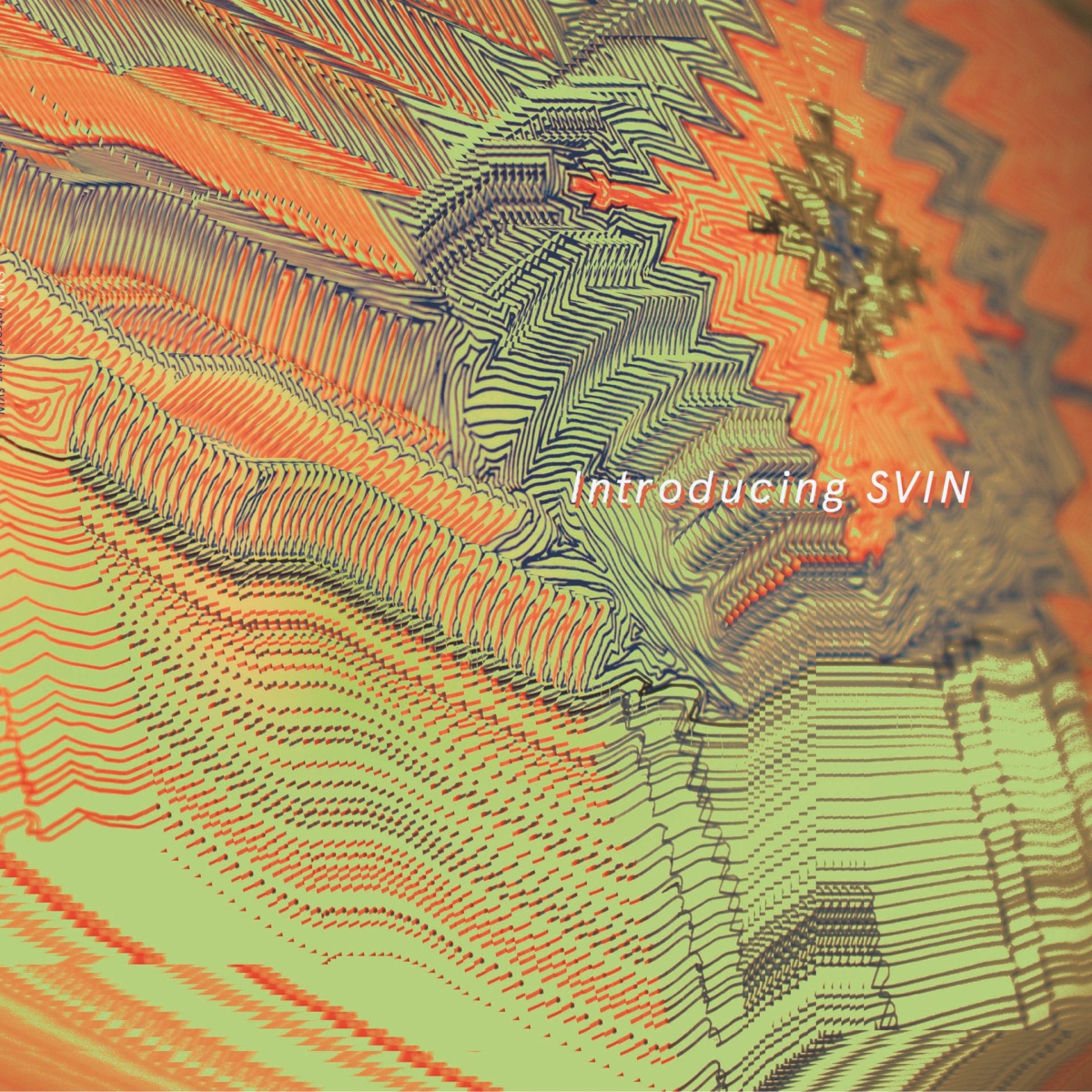 Introducing SVIN