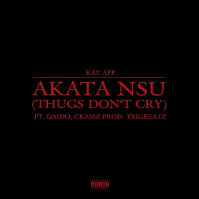 Akata Nsu (Thugs Don't Cry) (feat. Ckamz) - Single