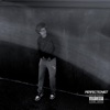 PERFECTIONIST - Single