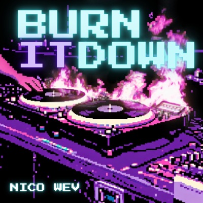 Burn it down - Single