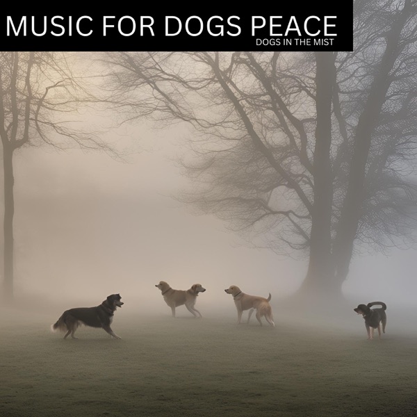 Dogs In the Mist