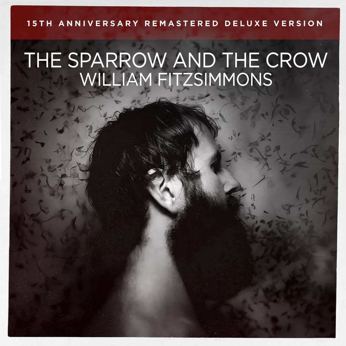 William Fitzsimmons - The Sparrow and the Crow (Remastered Deluxe Version) (2024) [iTunes Plus AAC M4A]-新房子