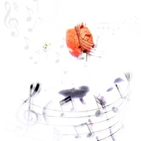 Muzika - Single - nori