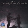 Luz do Meu Caminho - Single