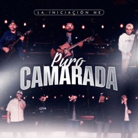 Puro Camarada - La Iniciacion NE