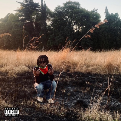 Money Run The World - Single