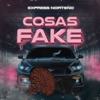 Cosas fake - Single - Express Norteño