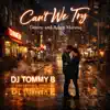 DJ Tommy B & Denine - Can't We Try