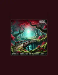 Sonic Paradox을(를) 듣고, 뮤직 비디오를 보고, 약력을 읽고, 투어 일정 등을 확인하세요!