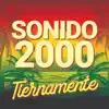 TIERNAMENTE