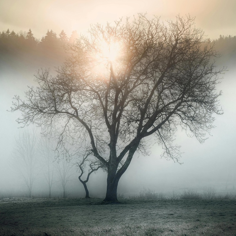 Sublimation