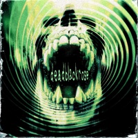 All You Need - Single - V4NT4 & deadblackrose