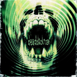 All You Need V4NT4 & deadblackrose