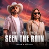 HAVE YOU EVER SEEN THE RAIN