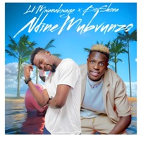 Ndine Mubvunzo (feat. Boi Shona) - Single - LV Mwanakwaye