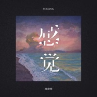 感觉 - Single - 周建坤