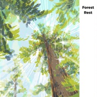 Forest Rest - Single - BD DISCOMUSIC & Komi June