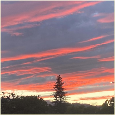 Worth the Wait  (feat. Mary Sue Ulven) [Live] - Single