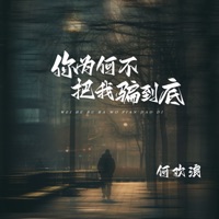 你为何不把我骗到底 - Single - 何欢浪