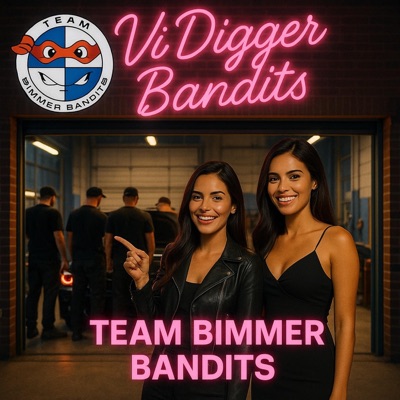 Vi Digger Bandits - Single