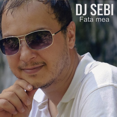 Song - Sunt Sofer Pe Mercedes - Dj Sebi