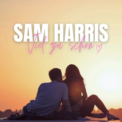 Viel Zu Schön - Single