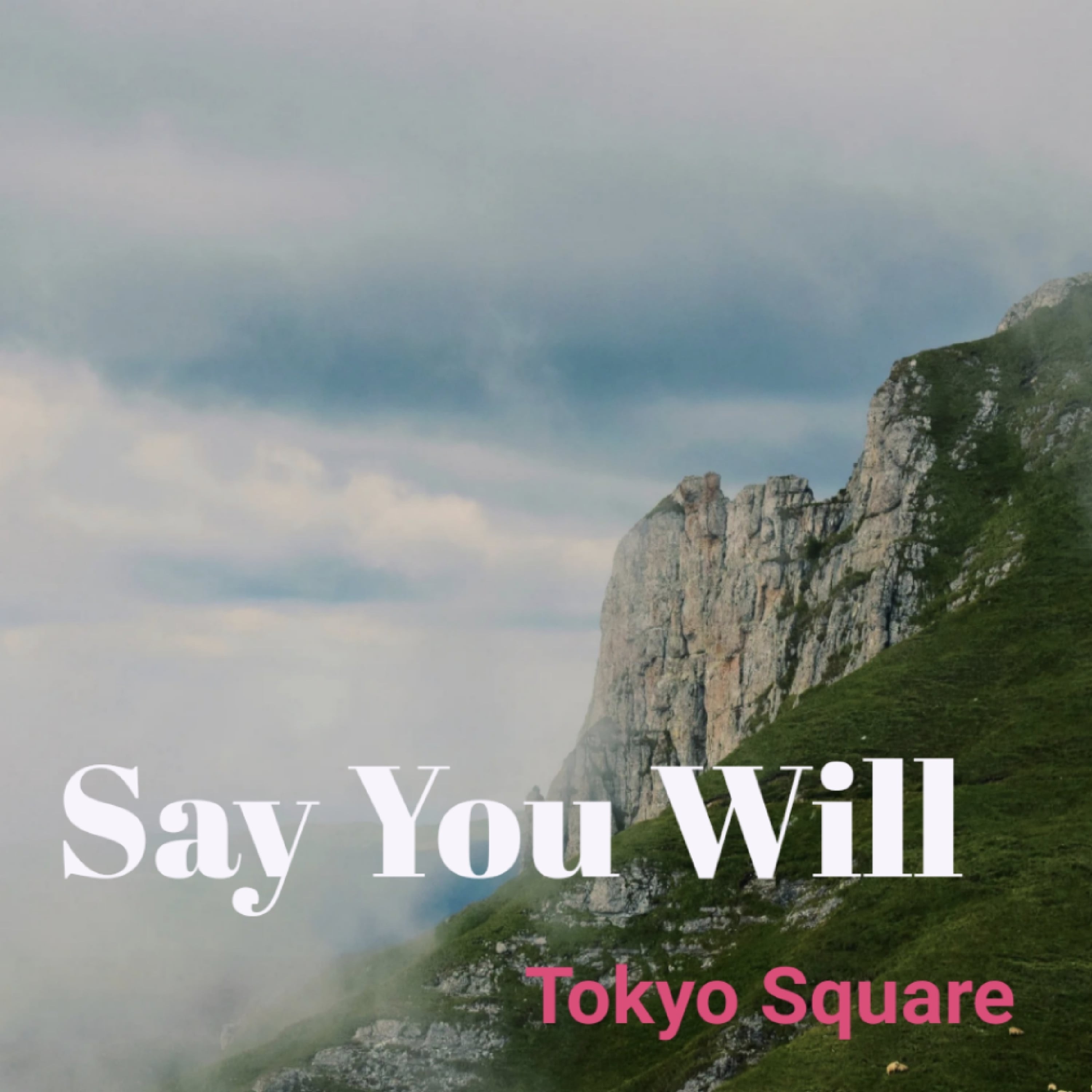 Say You Will