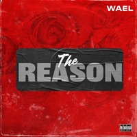 The Reason - Single - Wael