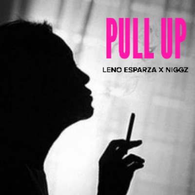 Pull Up (feat. Niggz) - Single