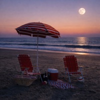 Agapornis - Día de Enero