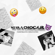 No Va a Chocar - Norambuena & RealViviendo
