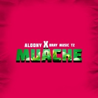 Muache (feat. Bray musictz) - Single - Aloony