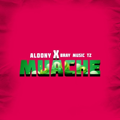 Muache (feat. Bray musictz) - Single