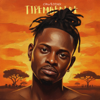 Chiweddar - Tipemberere artwork