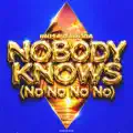 Nobody Knows