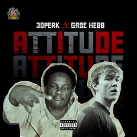 Attitude (feat. 30Perk & Gabe Hebb) CreativeMindsFSU