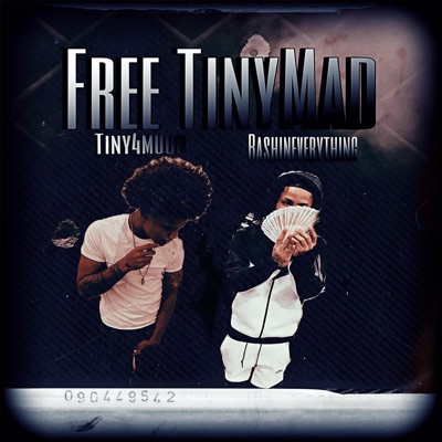 Free TinyMad (feat. Bashineverything) - Single