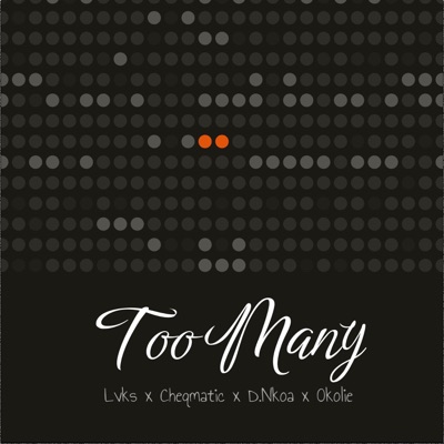 Too Many (feat. Cheqmatic, D.Nkoa & Okolie) - Single