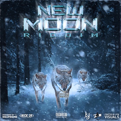 New Moon Riddim (feat. Nick JR.) - Single