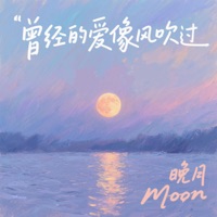 曾经的爱像风吹过 - Single - 晚月moon