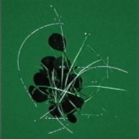 ambient type shh - EP - wowflower, The Field Tapes & Sunlight Jr.