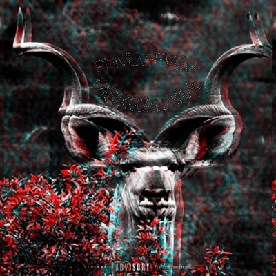 Mokgalaka (back to the roots)