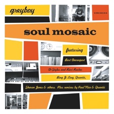 Greyboy - Got to Be a Love (with Quantic & Sharon Jones) [Paul Nice Remix]