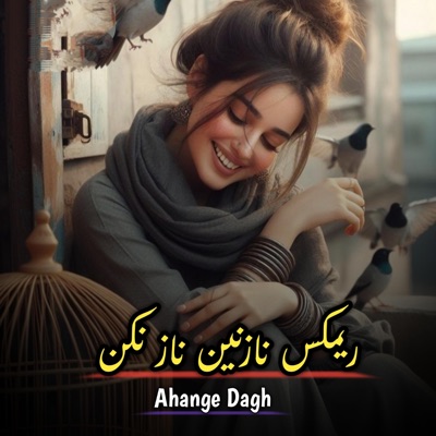 Ahange Dagh - ریمکس نازنین ناز نکن
